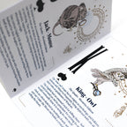 Booklet "Under the Moon"