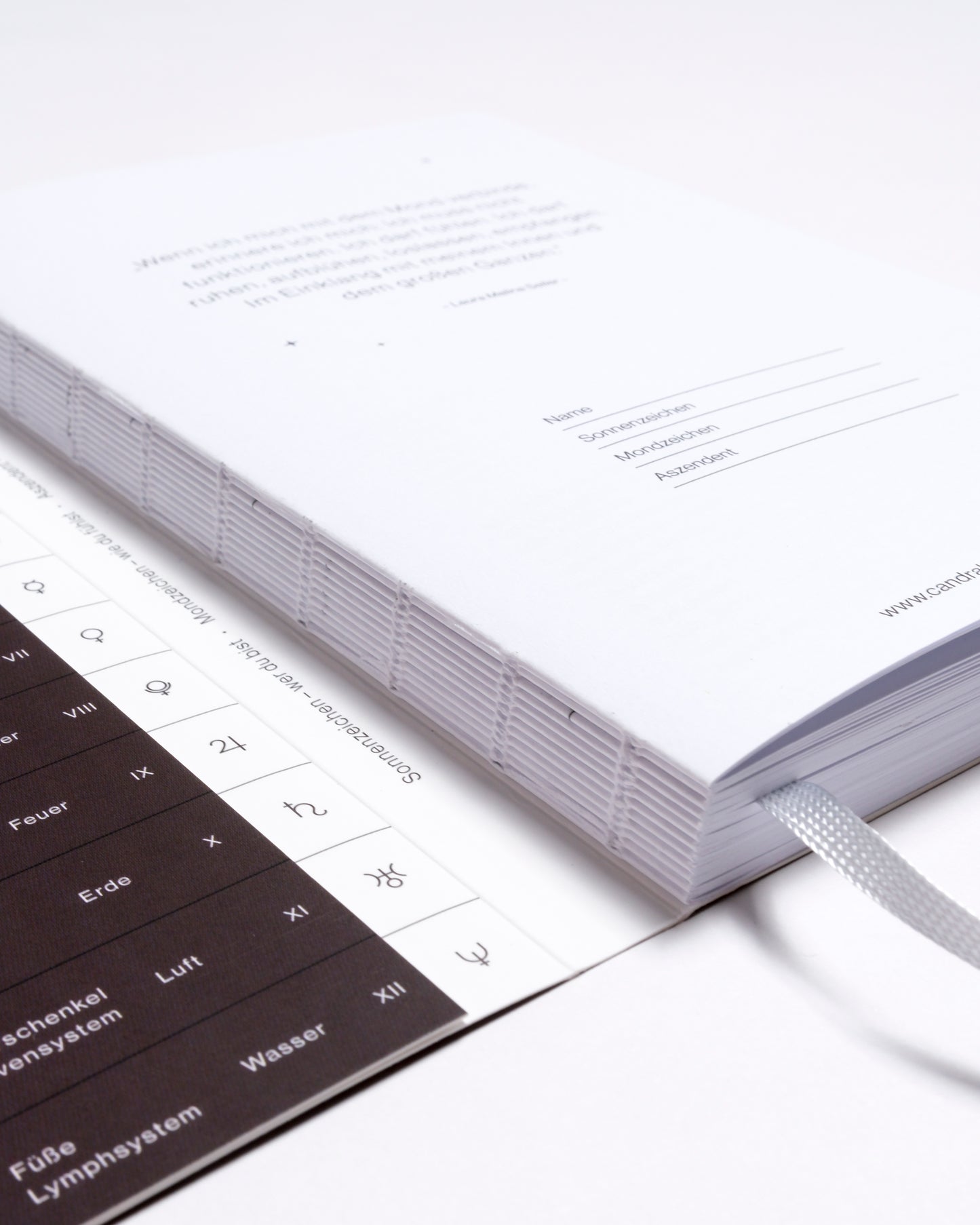Special Edition / Mondkalender 2026